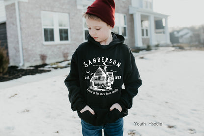 Hocus Pocus Shirt,Trendy Sanderson Witch Sweatshirt,Halloween Hoodie,Witches Kids Sweater,Happy Halloween Gifts For Women,Fall Sweater,C6169