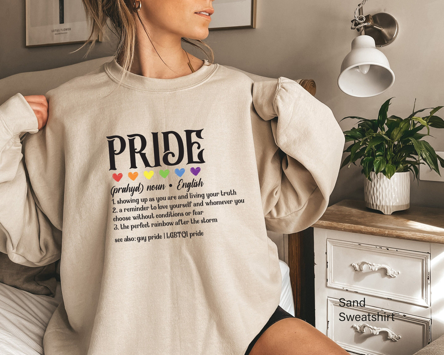 Pride Definition, Pride Hoodie, Transgender Pride Sweatshirt, Lgbt Pride Hoodie,  Rainbow Flag Sweatshirt, Lesbian Pride Sweatshirt, C7009