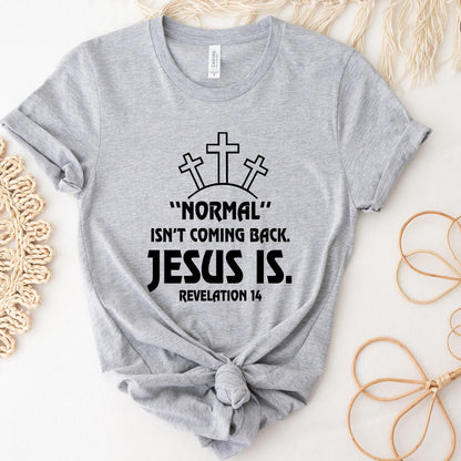 Normal Isn't Coming Back Jesus Is Sweatshirt, Revelation 14 Shirt, Bible Verse Hoodie, Trendy Christian T shirt, Motivational Tee