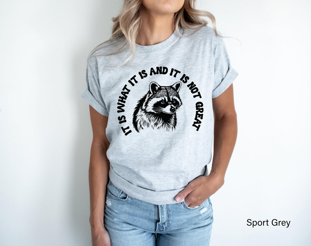 Aesthetic Preppy Shirt | It Is What It Is And It Is Not Great Shirt, Raccoon Meme T Shirt, Quote Shirts, Mood Gifts, Funny Mood Shirt