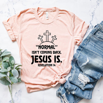 Normal Isn't Coming Back Jesus Is Sweatshirt, Revelation 14 Shirt, Bible Verse Hoodie, Trendy Christian T shirt, Motivational Tee