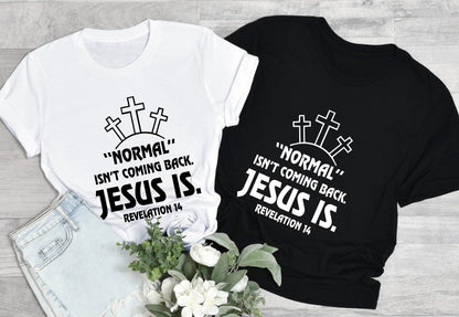 Normal Isn't Coming Back Jesus Is Sweatshirt, Revelation 14 Shirt, Bible Verse Hoodie, Trendy Christian T shirt, Motivational Tee
