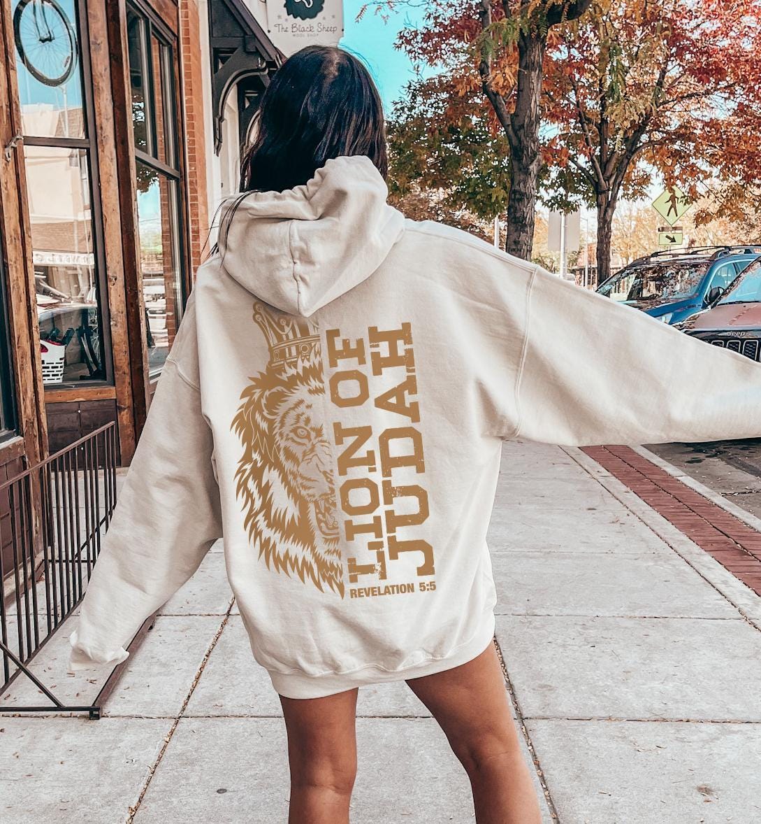 Lion of Judah Hoodie, Inspirational Christian Shirt, Ladies Bible Verse Sweatshirt, Lion Themed Religious Tee, Gift For 