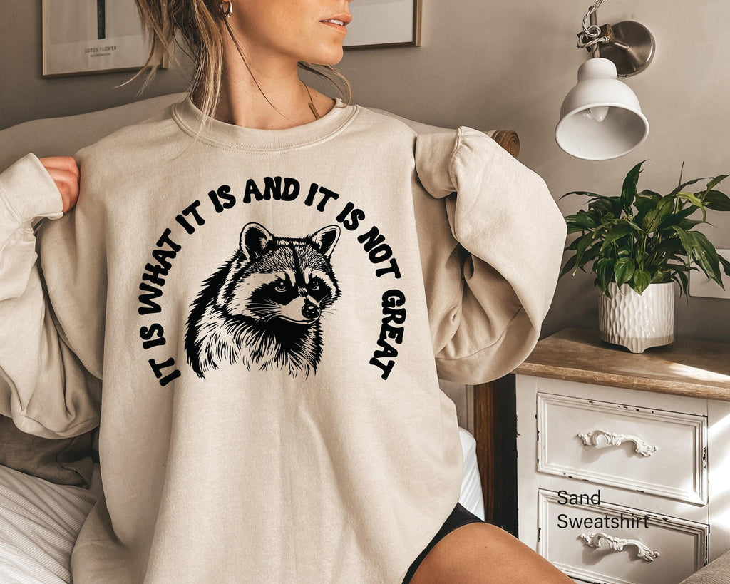 Aesthetic Preppy Shirt | It Is What It Is And It Is Not Great Shirt, Raccoon Meme T Shirt, Quote Shirts, Mood Gifts, Funny Mood Shirt
