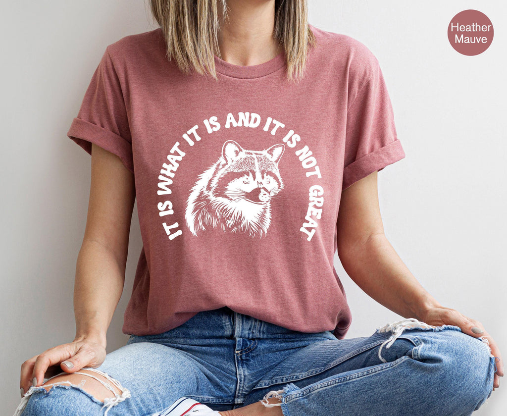 Aesthetic Preppy Shirt | It Is What It Is And It Is Not Great Shirt, Raccoon Meme T Shirt, Quote Shirts, Mood Gifts, Funny Mood Shirt